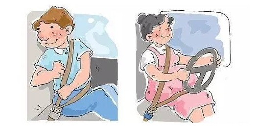 Z6人生就是博未系安全带检测系统