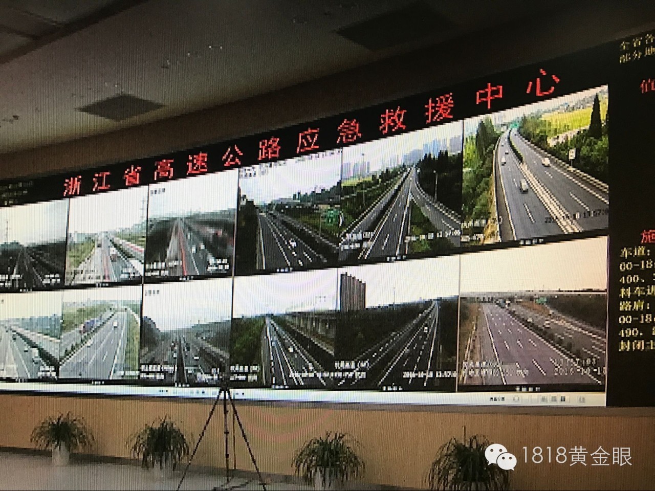 Z6人生就是博未系安全带检测系统