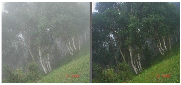 Z6人生就是博视频图像处置分析系统