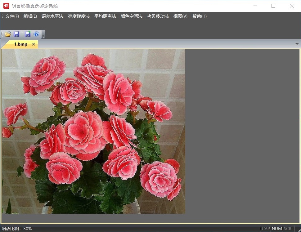 Z6人生就是博影像真伪鉴定系统